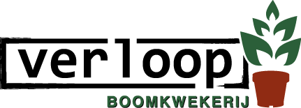 Coniferen kwekerij Verloop Boomkwekerij